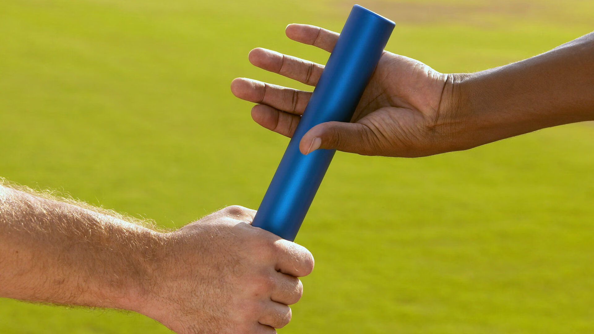 户外攀树体验赛 绳索保护下安全体验“森林之上”行走